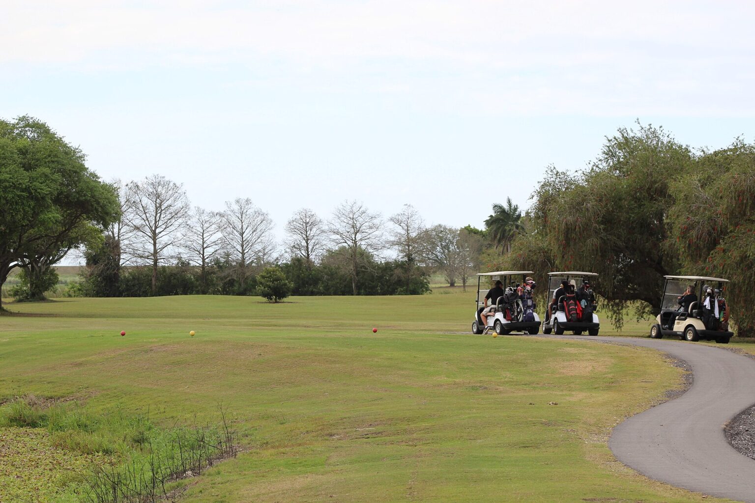Fix Golf Hocası